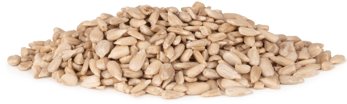 Vitakraft Vita Garden Geschälte Sonnenblumenkerne - - Vitakraft