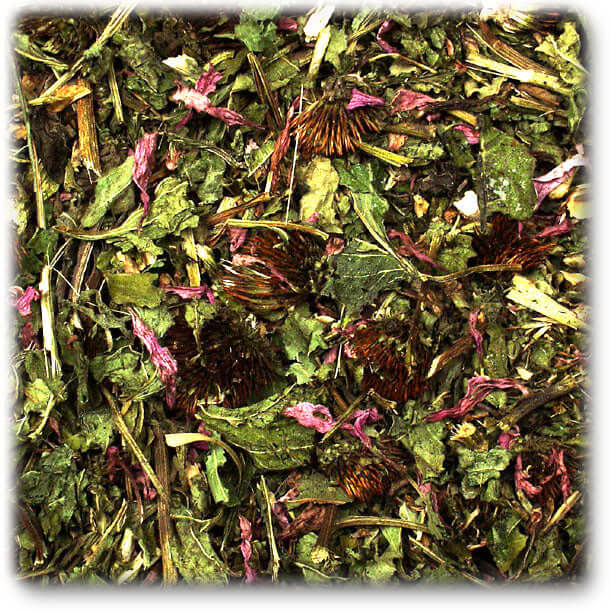 JR FARM Sonnenhut und Luzerne-Klee - - JR Farm