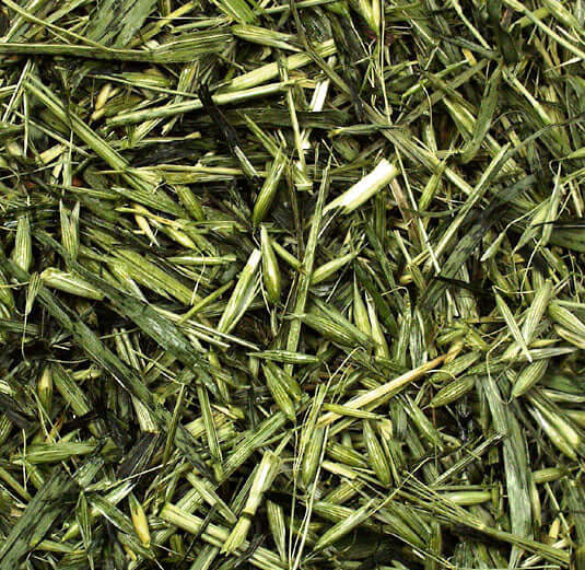 JR FARM Grüner Hafer für Kaninchen & Meerschweinchen