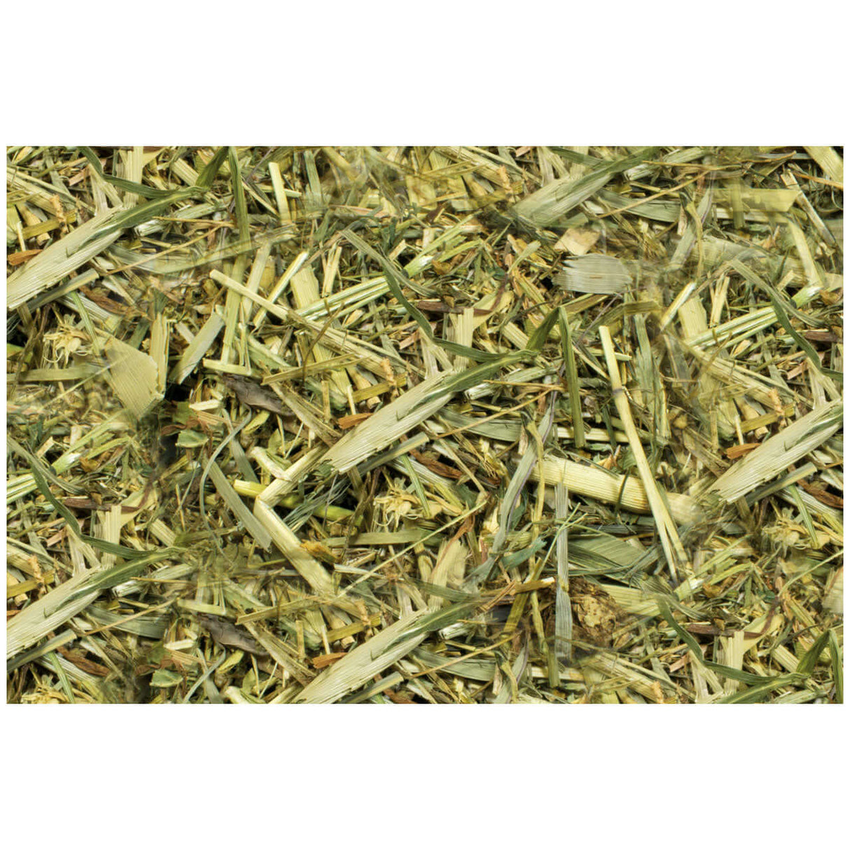 JR FARM Kräutergarten - - JR Farm