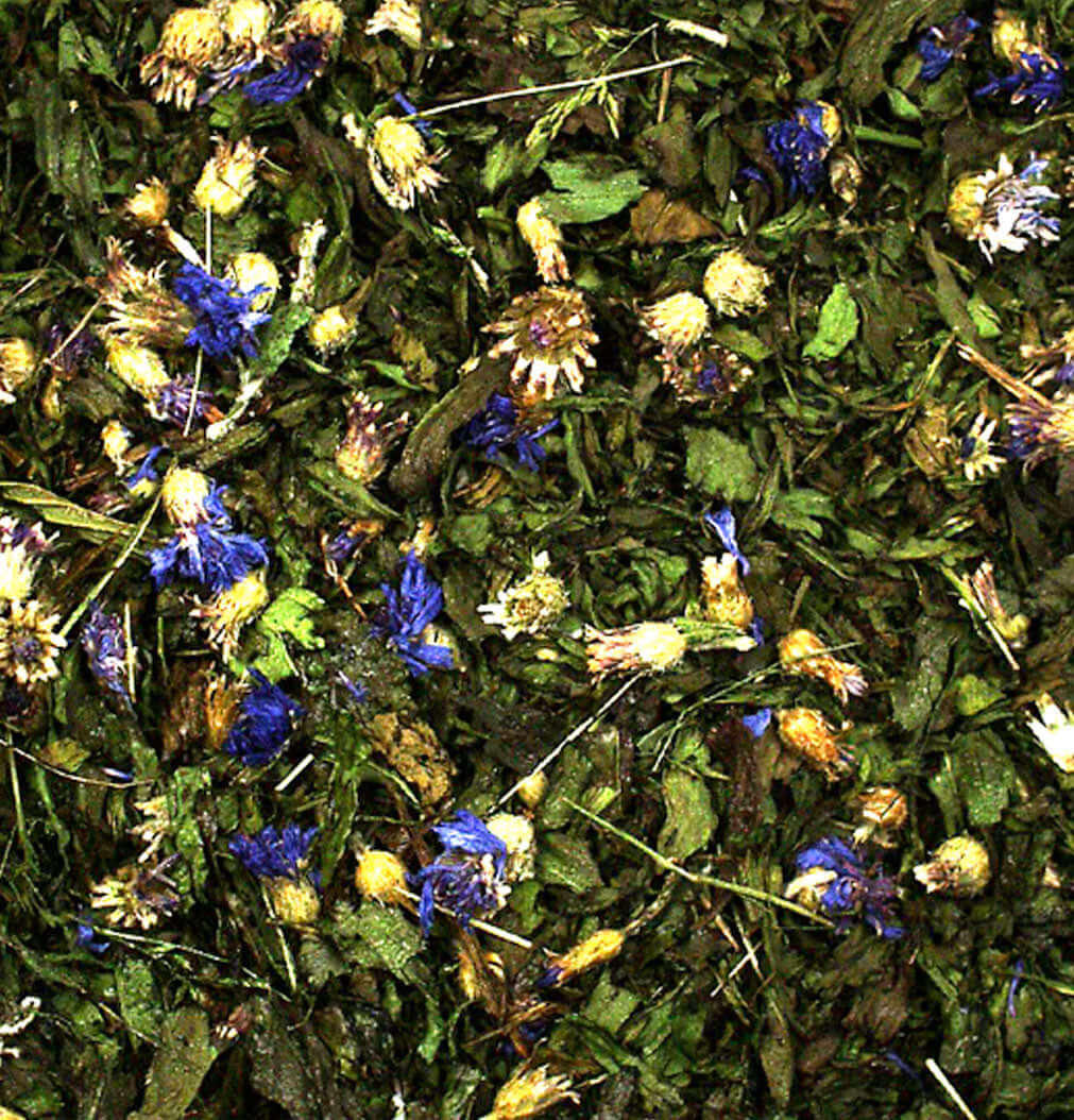 JR FARM Spitzwegerich - - JR Farm