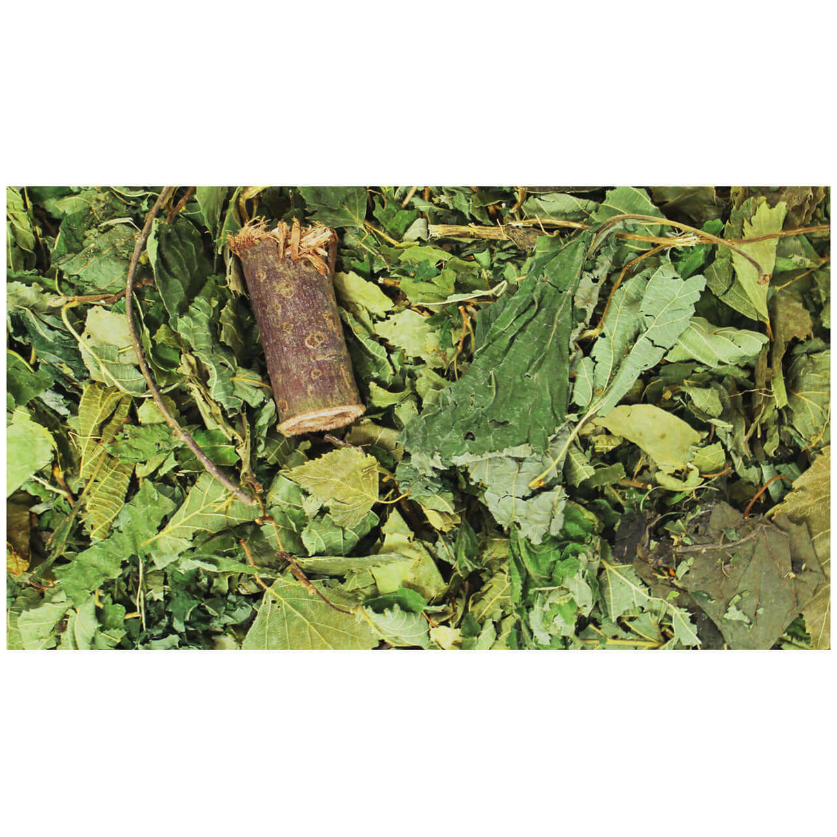 JR FARM Waldgeheimnis - - JR Farm