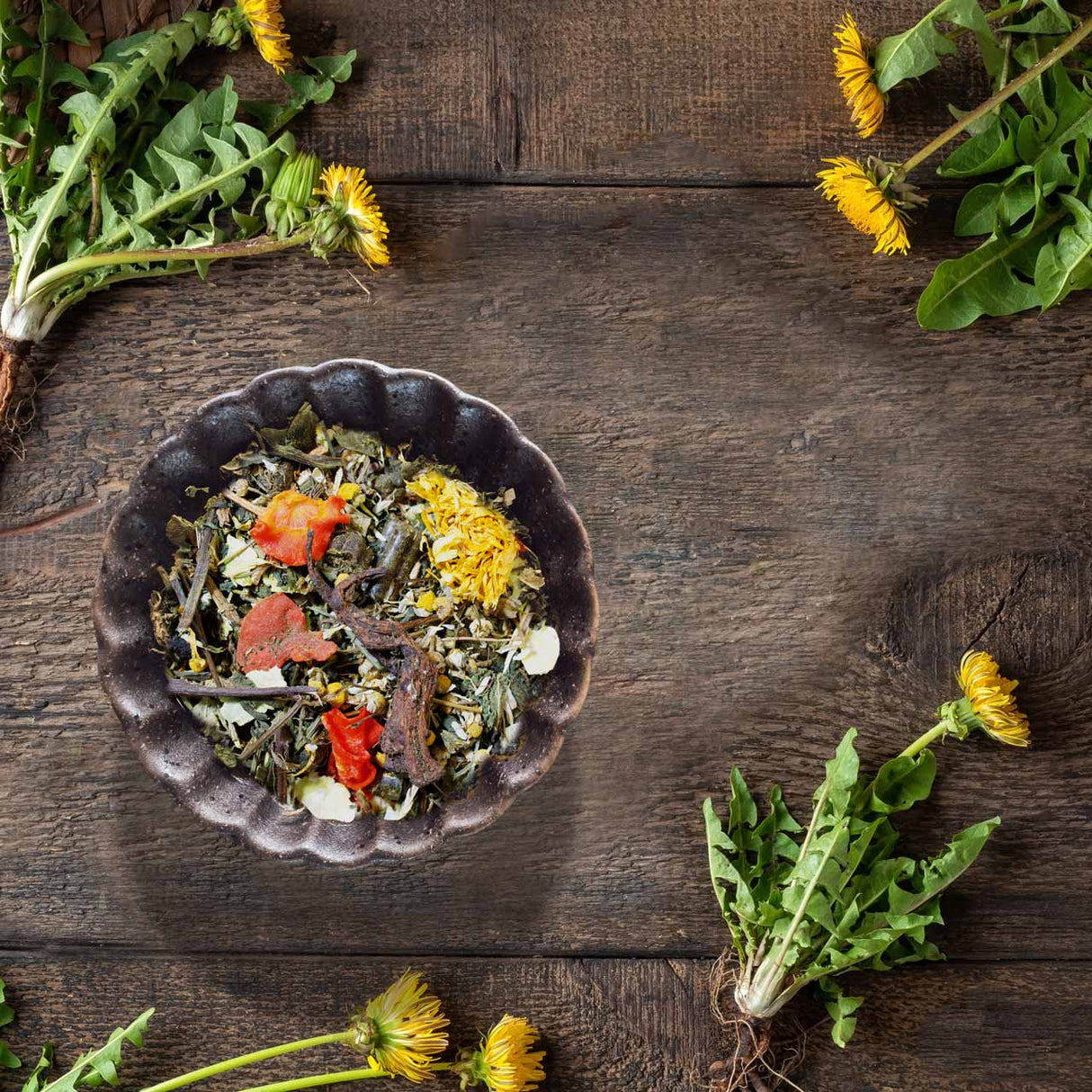 JR Farm Grainless Mix Meerschweinchen - - JR Farm