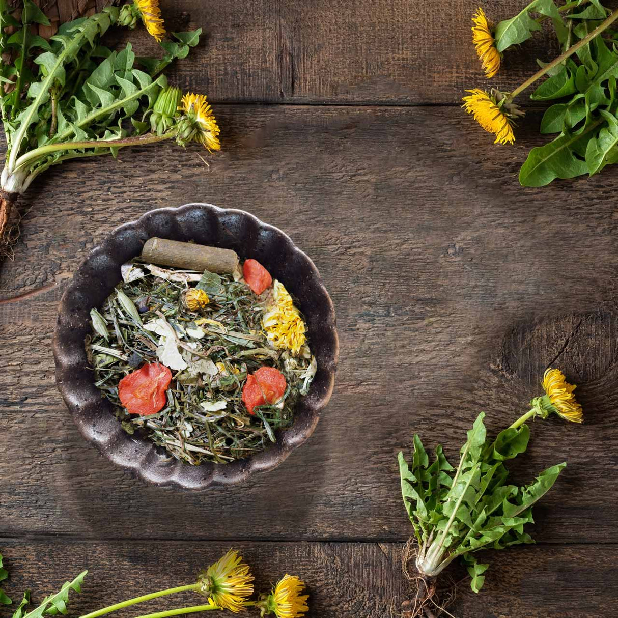 JR Farm Grainless Herbs Meerschweinchen - - JR Farm