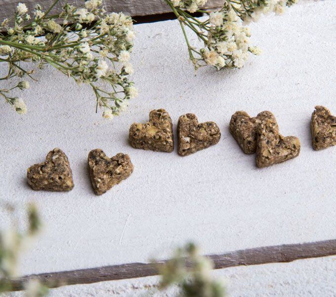 Bunny Herzkeks My little Sweetheart Löwenzahn Nahaufnahme