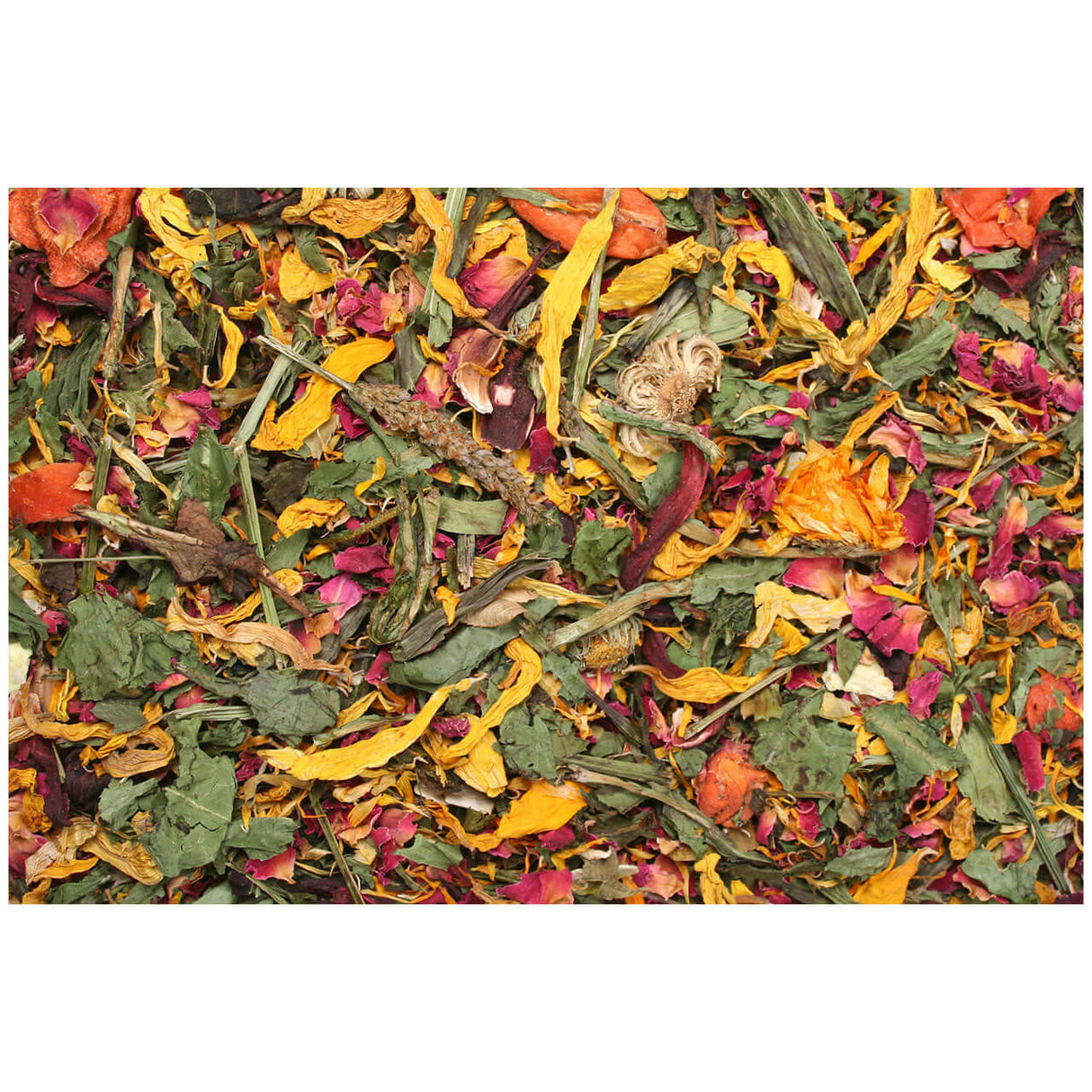 JR FARM Sommerfeld - - JR Farm