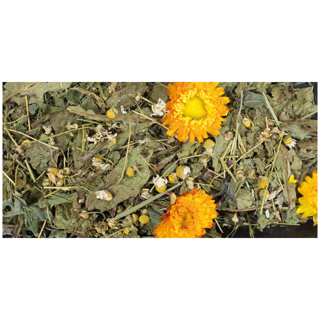 JR Farm Grainless Plus Kamille & Löwenzahn - - JR Farm