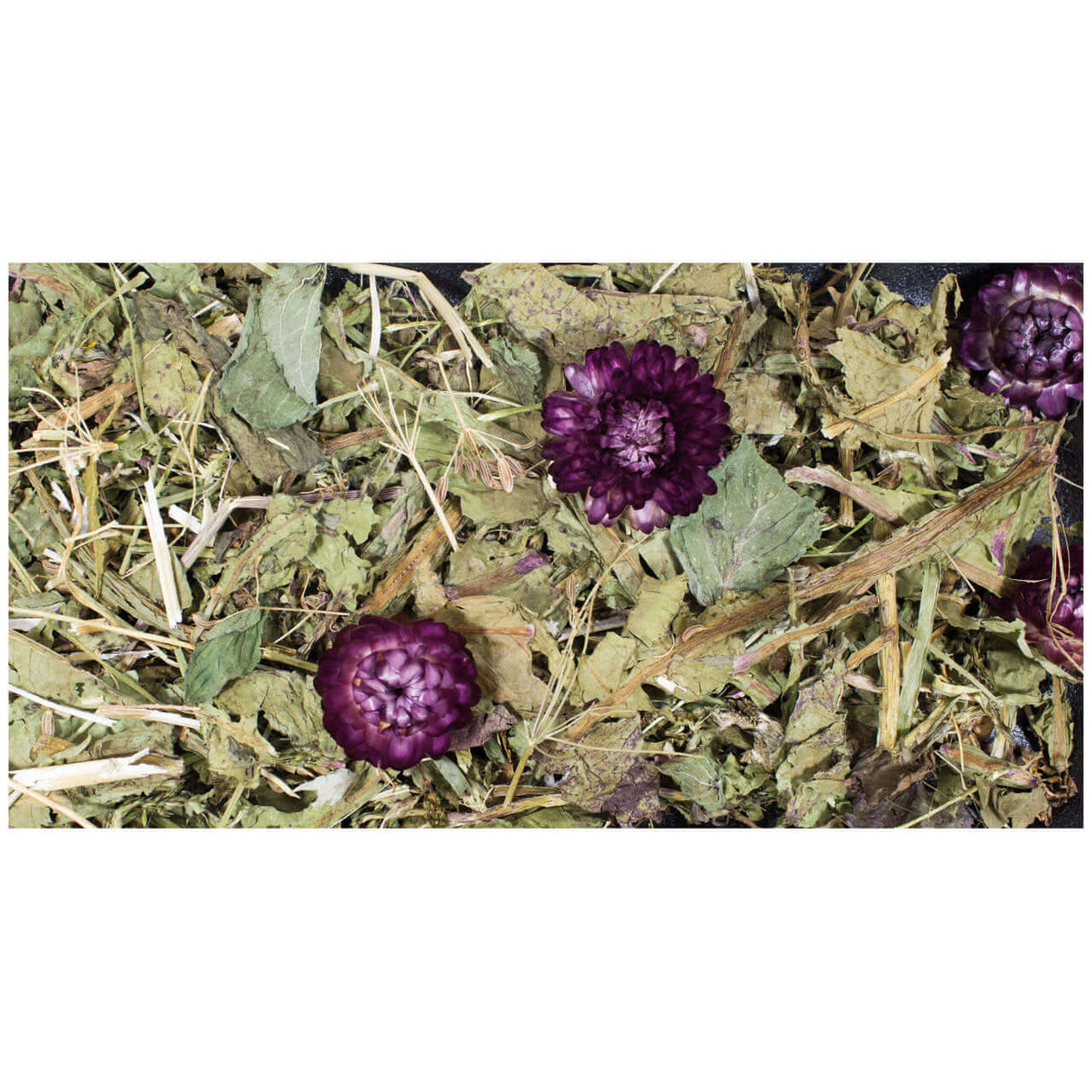 JR Farm Grainless Plus Kümmel & Löwenzahn - - JR Farm