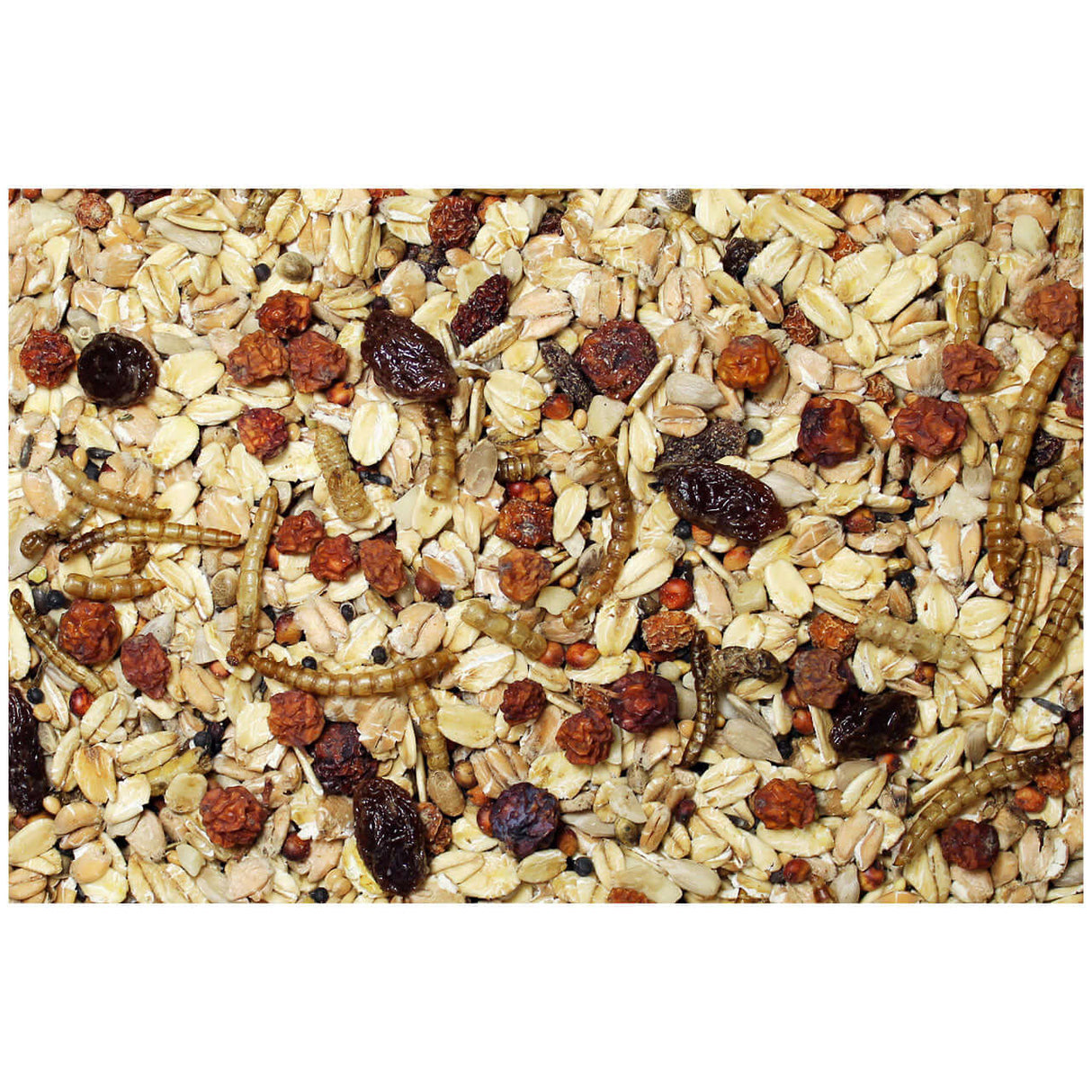 JR FARM Wildvogel-Schmaus ohne Schale - - JR Farm