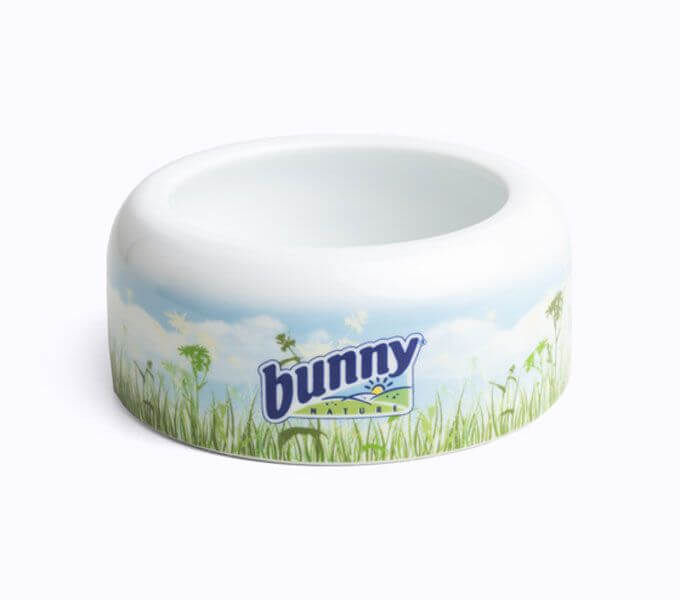 Bunny Nature Napf Nahaufnahme