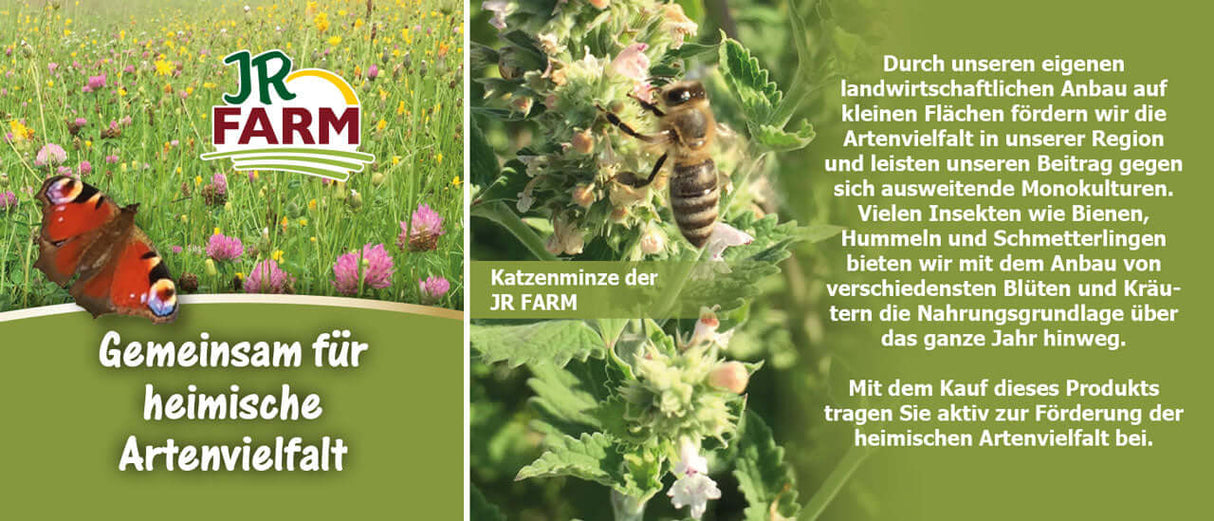 JR FARM Dill-Stäbchen - - JR Farm