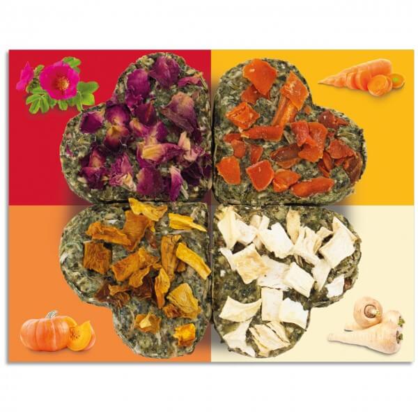 JR Farm Grainless Glücks-Quartett - - JR Farm