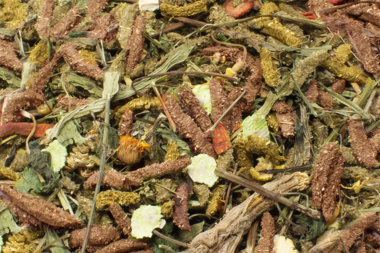 JR Grainless Health Mix Meerschweinchen - - JR Farm