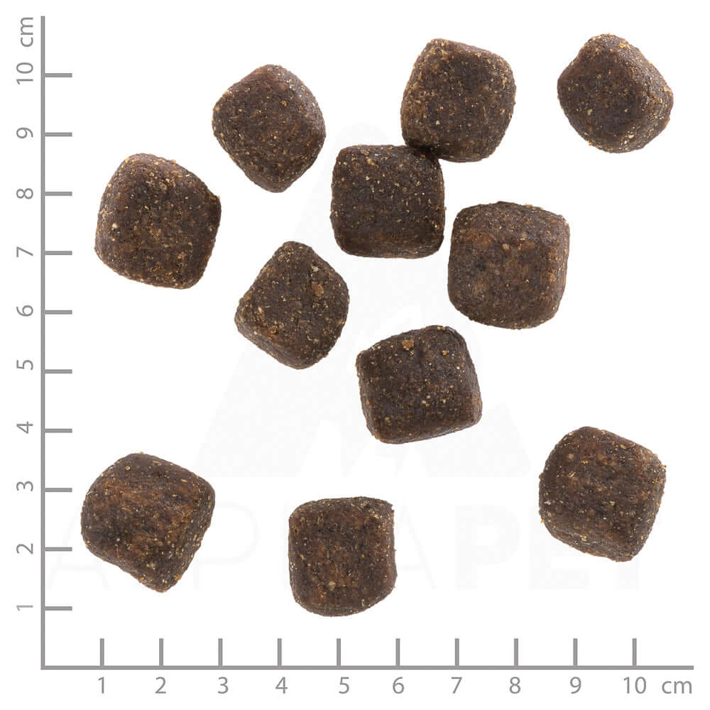 Wolfsblut Squashies Wild Duck Snack