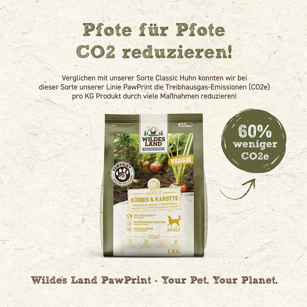 Wildes Land Hund Veggie Kürbis & Karotte Vorteile