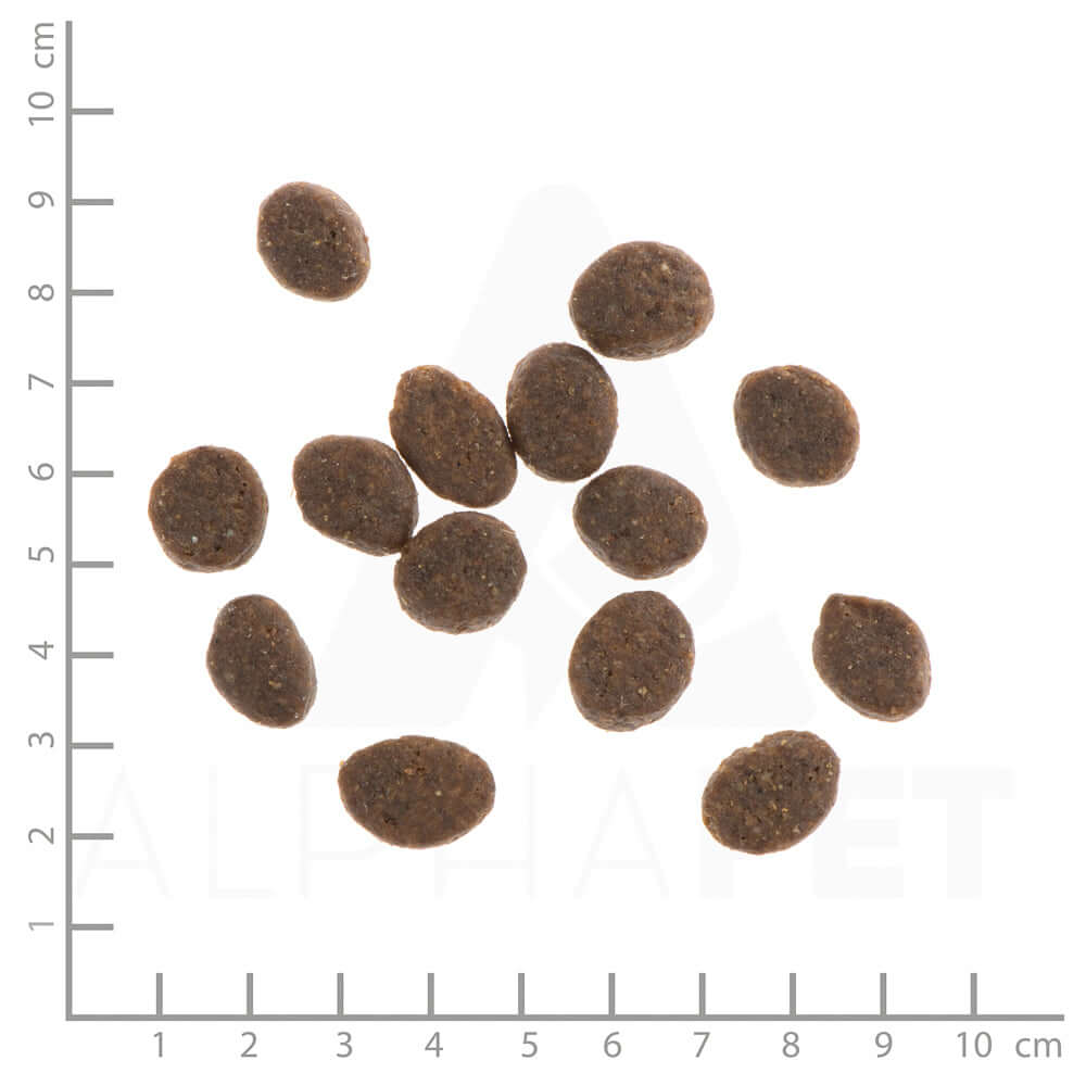 Wildes Land Hund Classic Adult Lamm mit Reis und Wildkräutern Nahaufnahme