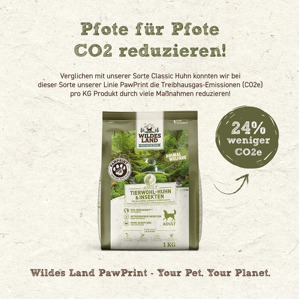 Wildes Land Hund Tierwohl-Huhn & Insekten Vorteile