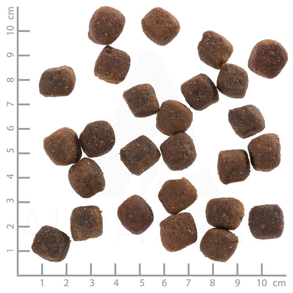 Wolfsblut Adult Deep Glade - - Wolfsblut