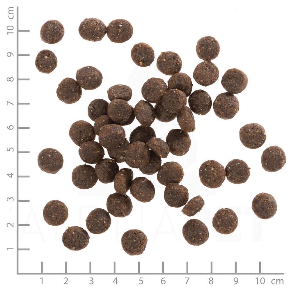 Wolfsblut Puppy Range Lamb - - Wolfsblut