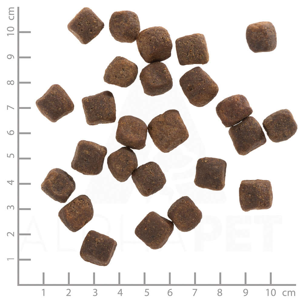 Wolfsblut Adult Dark Forest - Das Futter im Detail