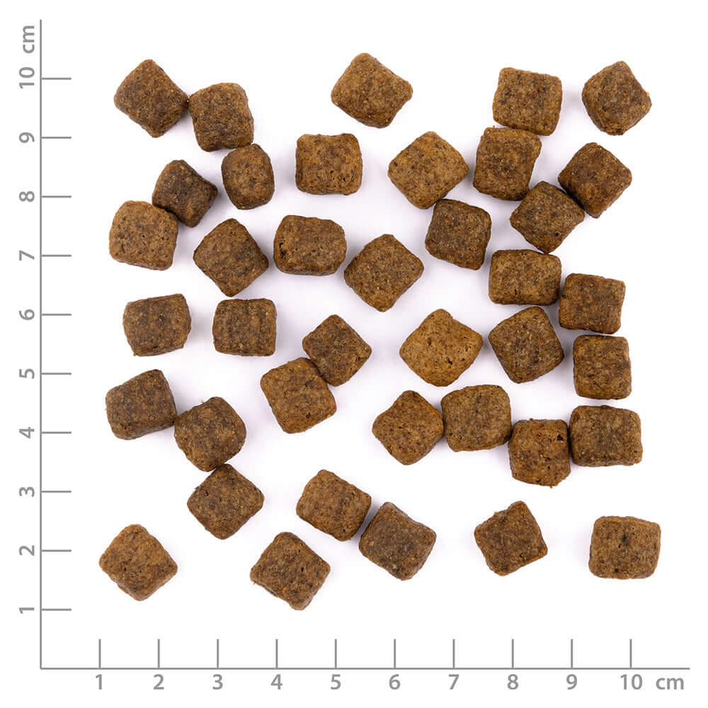 Wildes Land Hund Hermetia Larve mit Kartoffeln Nahaufnahme