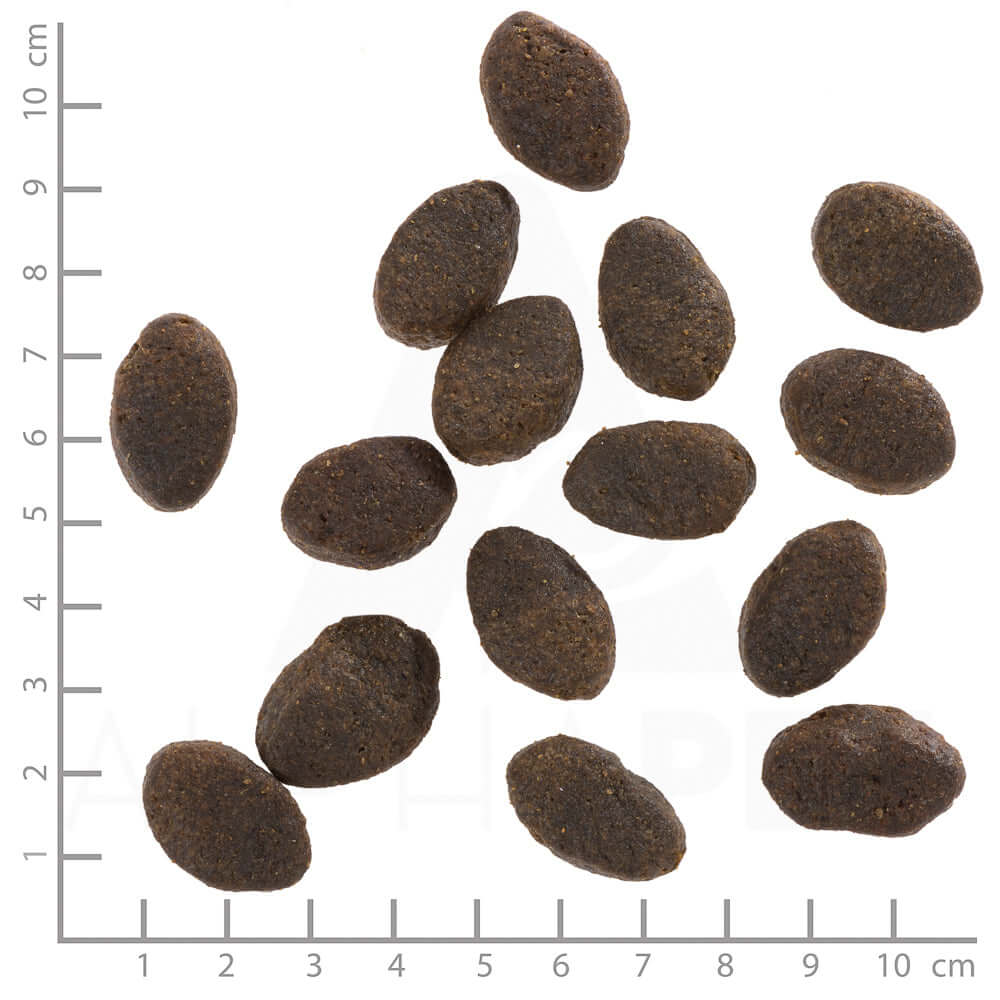 Wolfsblut Adult Wild Pacific - - Wolfsblut