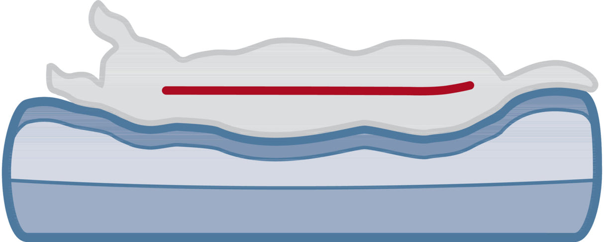 Orthopädisches Hundebett Bendson Grau - - Trixie