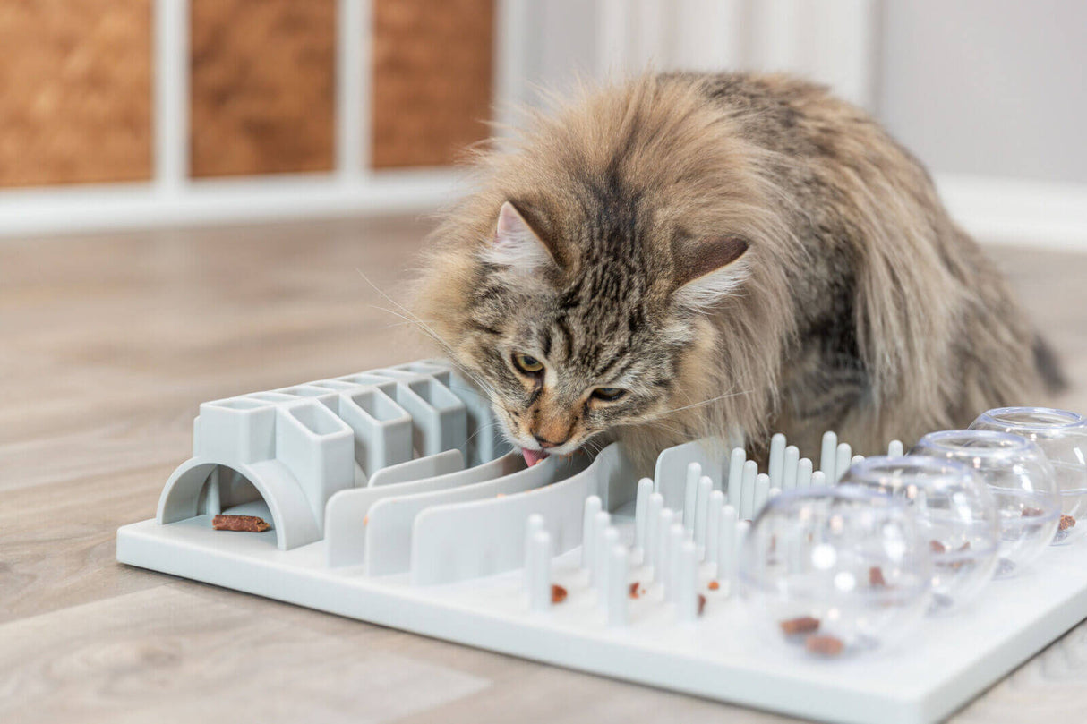 Trixie Katzen Fun Board Strategiespiel