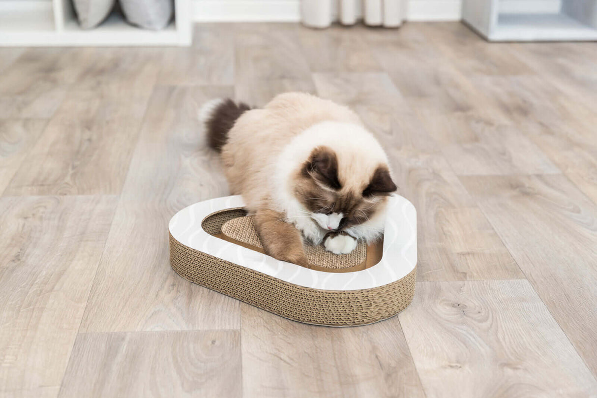 Trixie Kratzpappe mit 2 Spielbällen