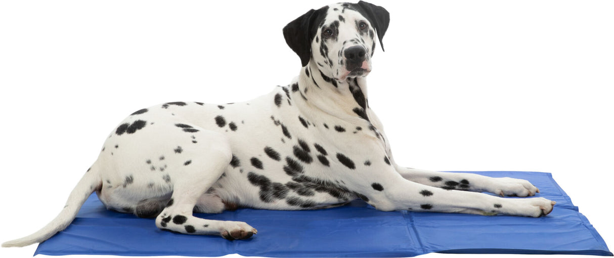 Kühlmatte Blau - - Trixie