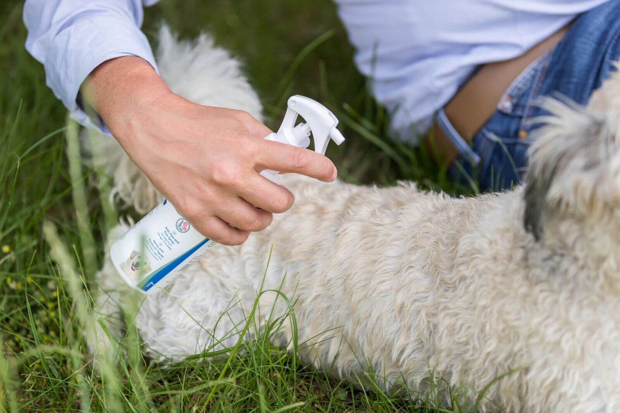 Floh- und Zeckenschutz-Spray - - Trixie
