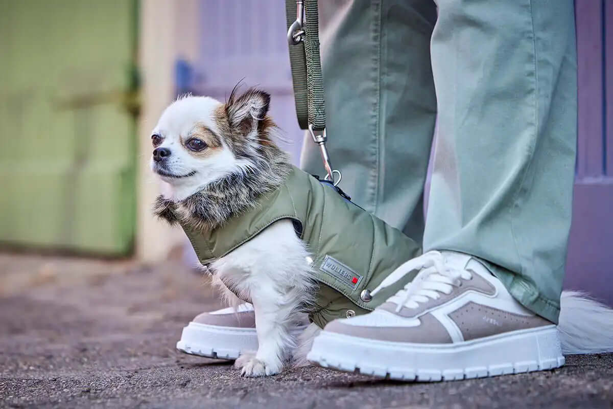 Wolters Parka Olive - - Wolters