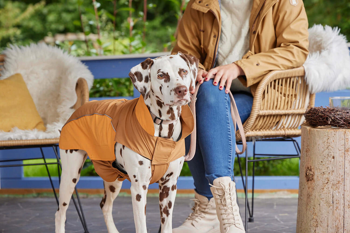 Wolters Regenjacke Easy Rain Salbeigrün - - Wolters