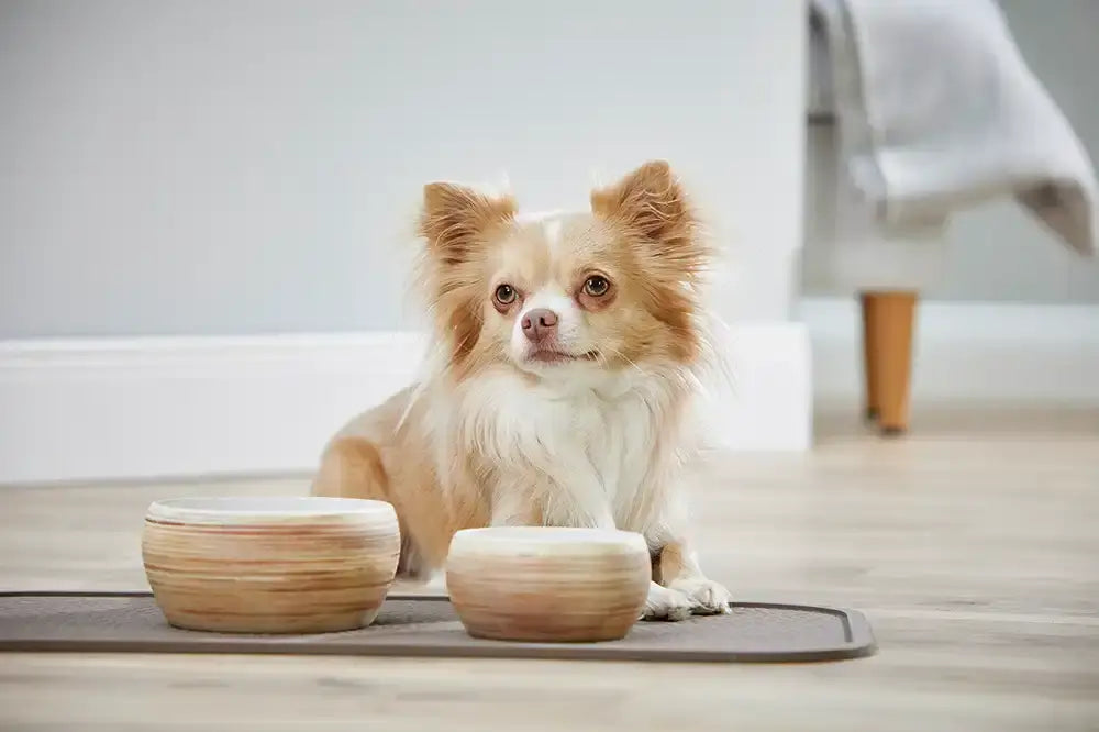 Wolters Diner Stone Hundenapf Braun - - Wolters