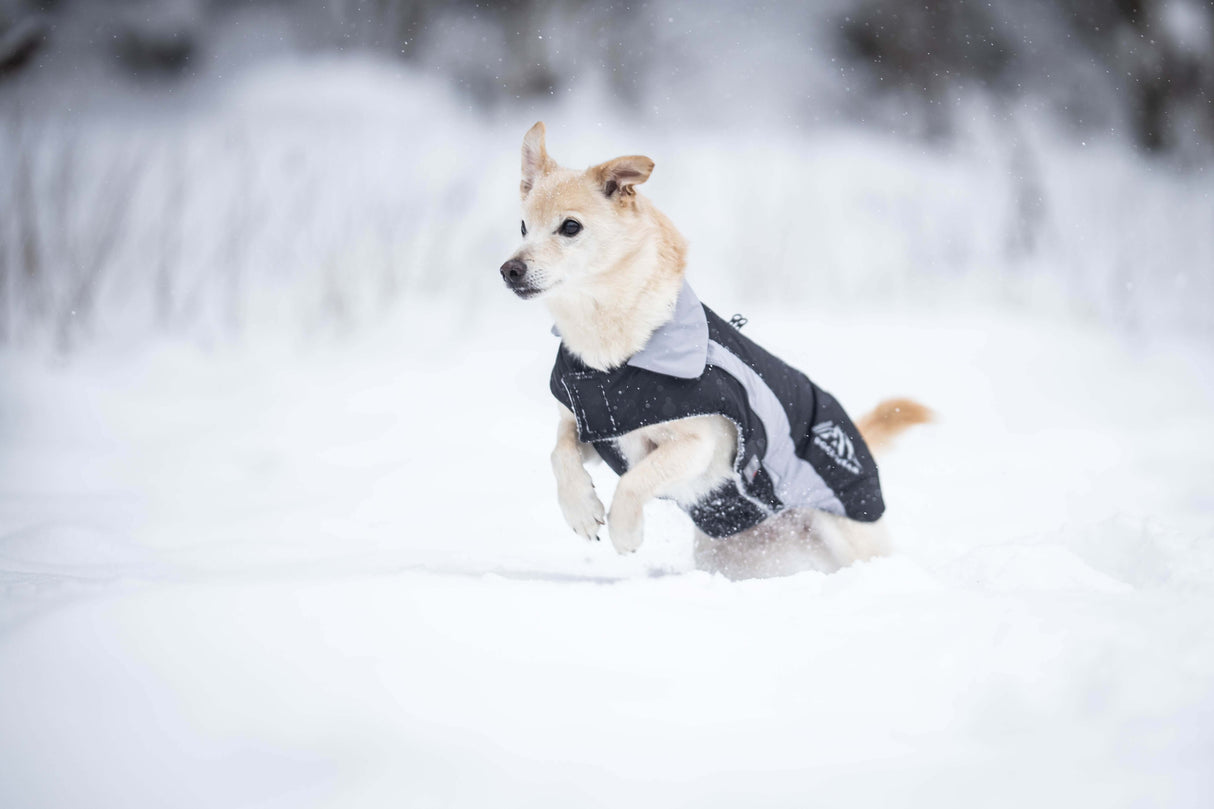 Wolters Skijacke Dogz-Wear hellgrau - - Wolters