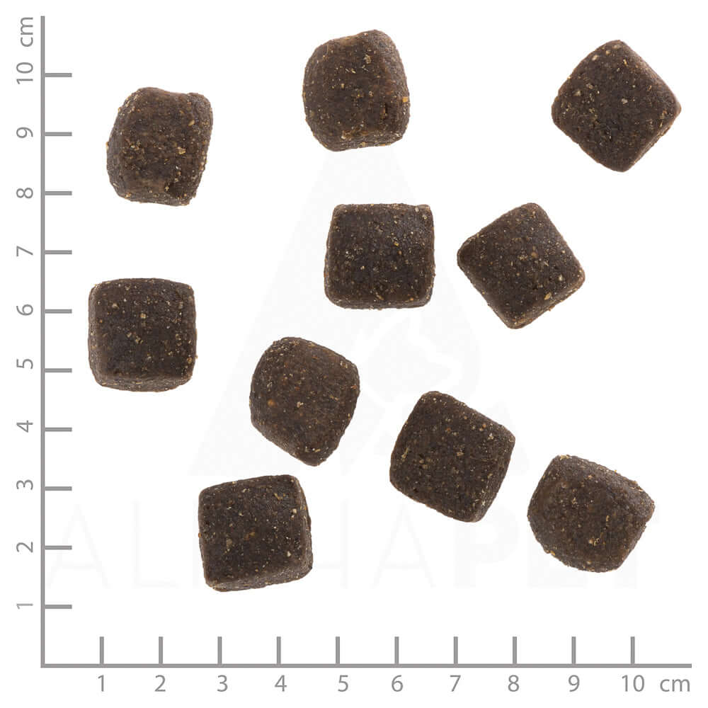 Wolfsblut Squashies Cold River Snack