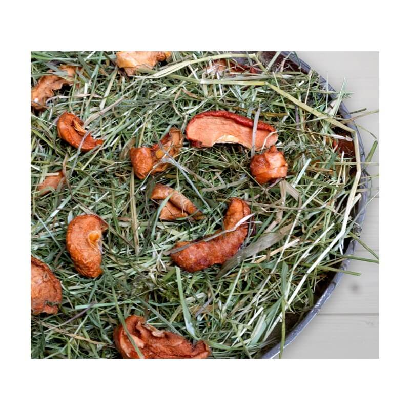 Bunny FrischGras Heu Apfel - - Bunny