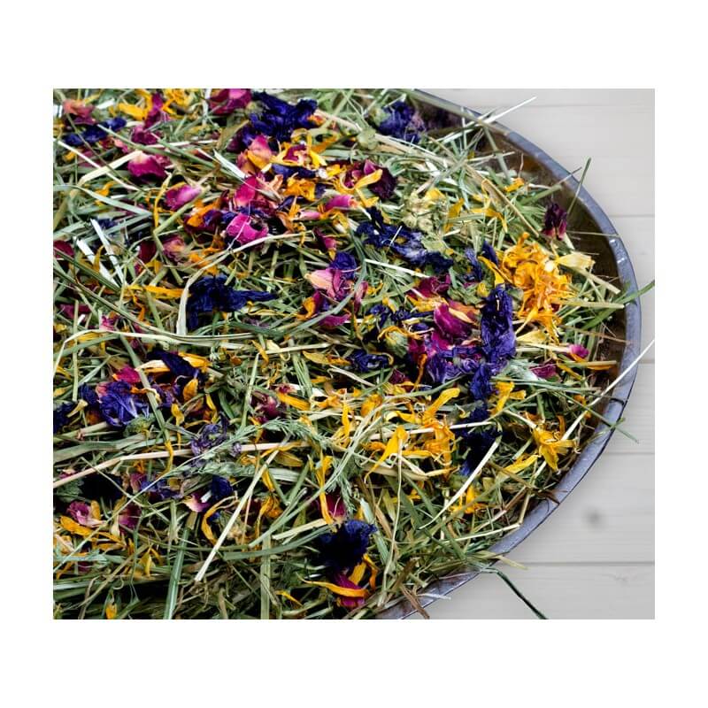 Bunny FrischGras Heu Blüten - - Bunny