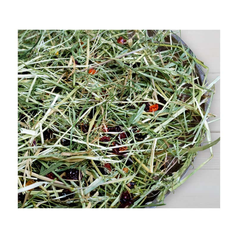 Bunny FrischGras Heu Hagebutten - - Bunny