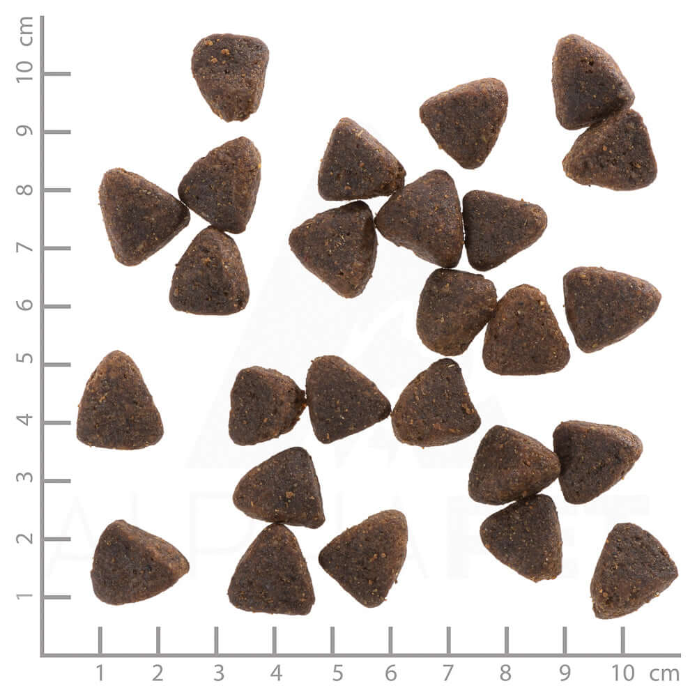 Wolfsblut Adult Jack Rabbit - Das Futter im Detail