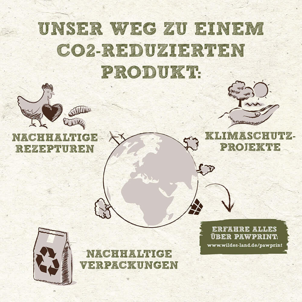 Wildes Land Hund Tierwohl-Huhn & Insekten Nachhaltig