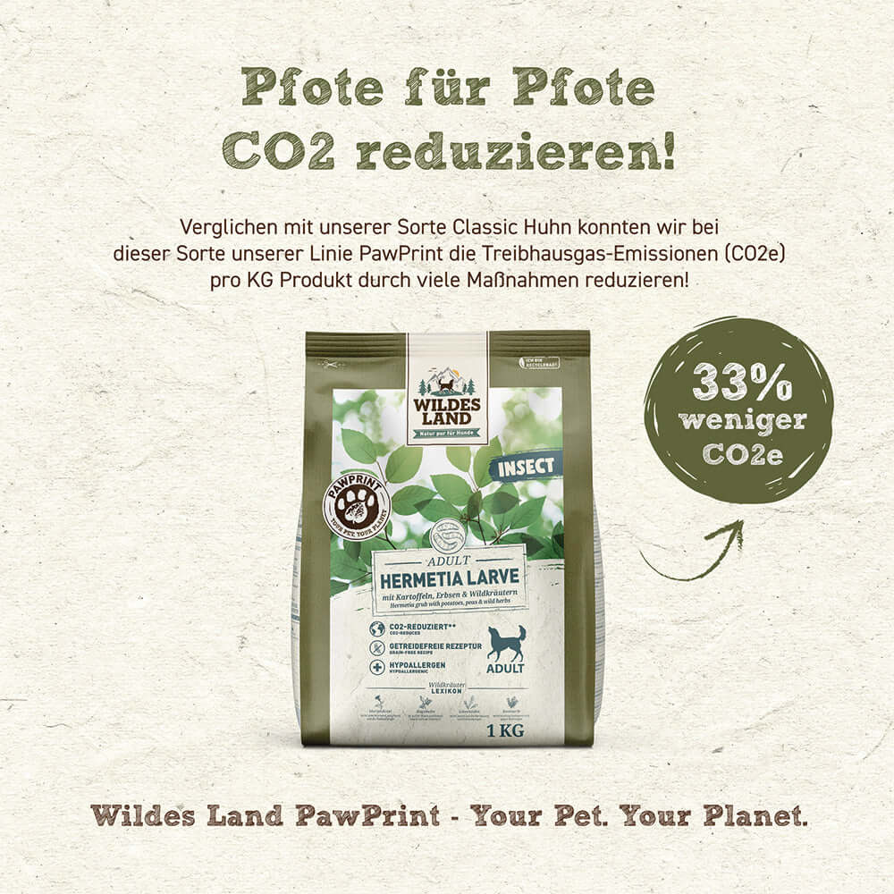 Wildes Land Hund Hermetia Larve mit Kartoffeln Vorteile