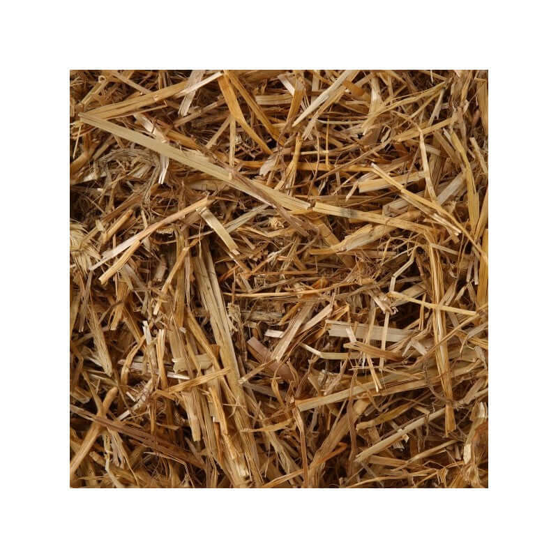 Chipsi Farmland Stroh - - Chipsi