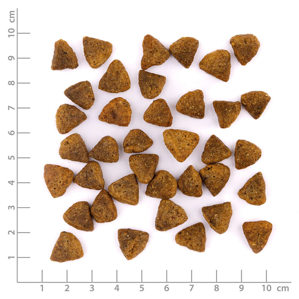 Wildes Land Hund Veggie Kürbis & Karotte Nahaufnahme