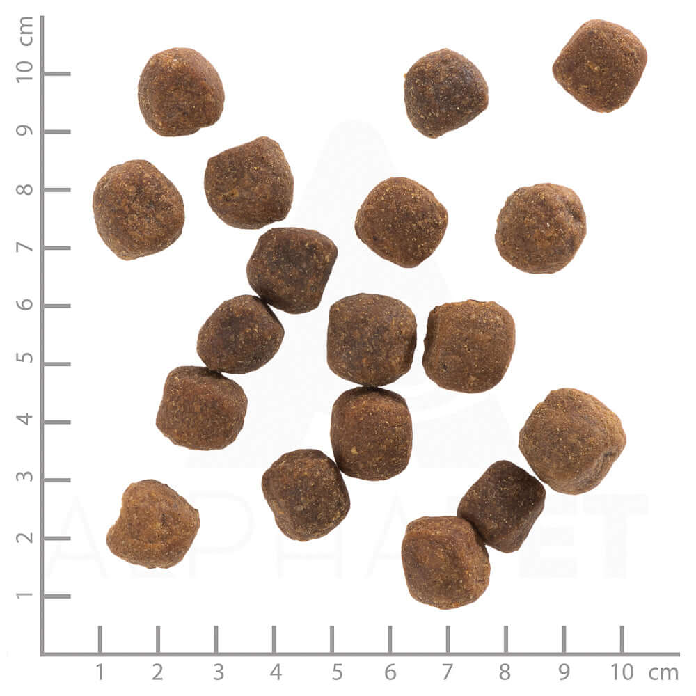 Wolfsblut Adult Wild Duck - - Wolfsblut