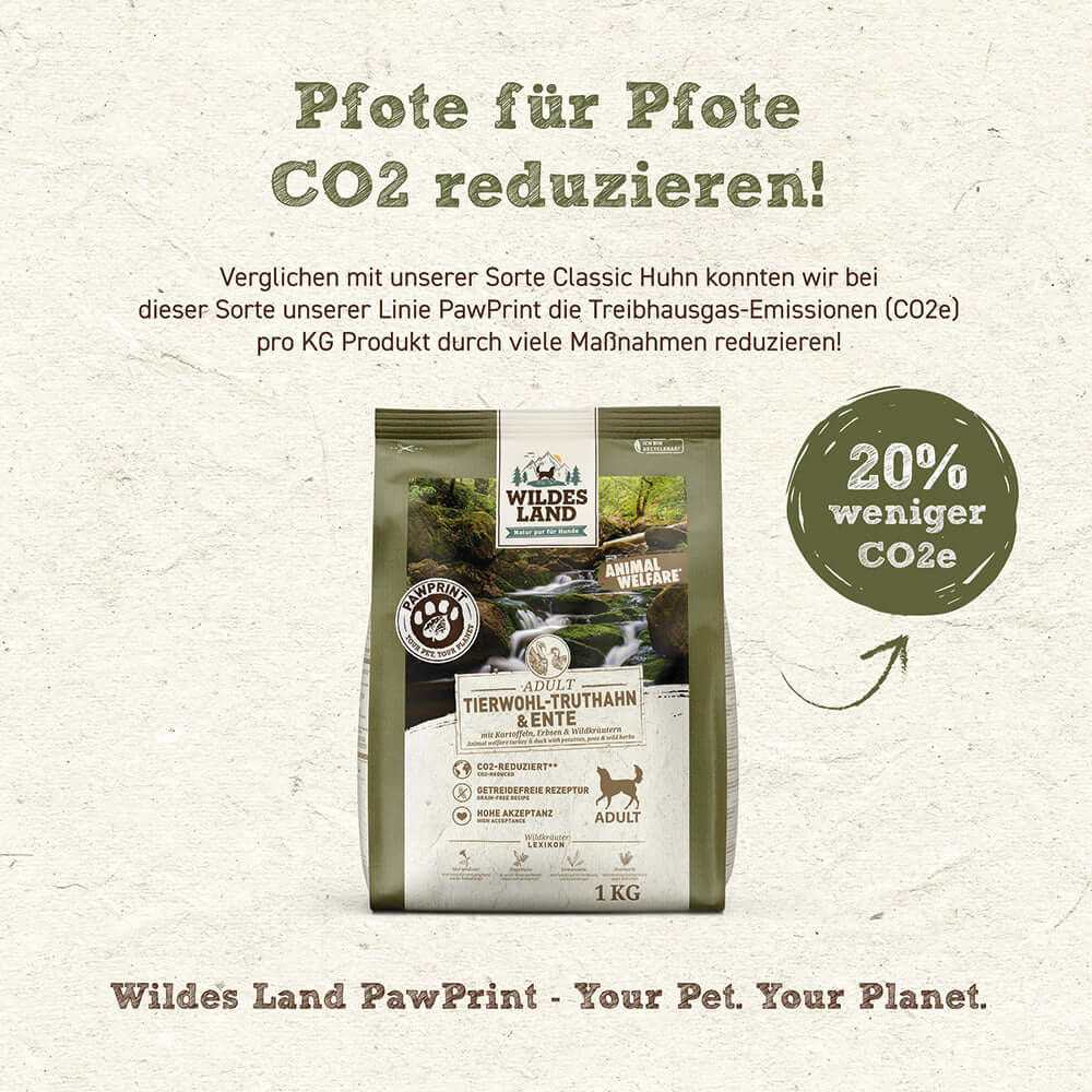 Wildes Land Hund Tierwohl-Truthahn & Ente Vorteile