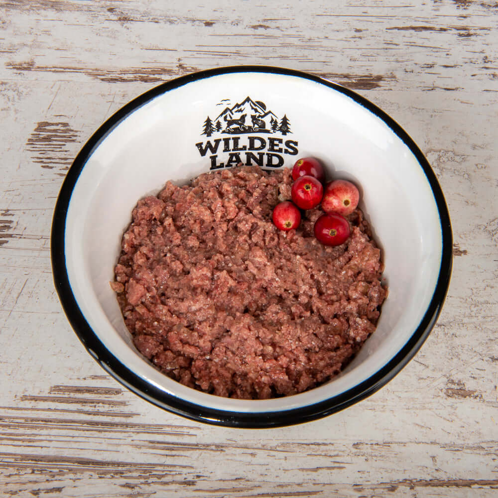 Wildes Land Katze - Kalb und Ente