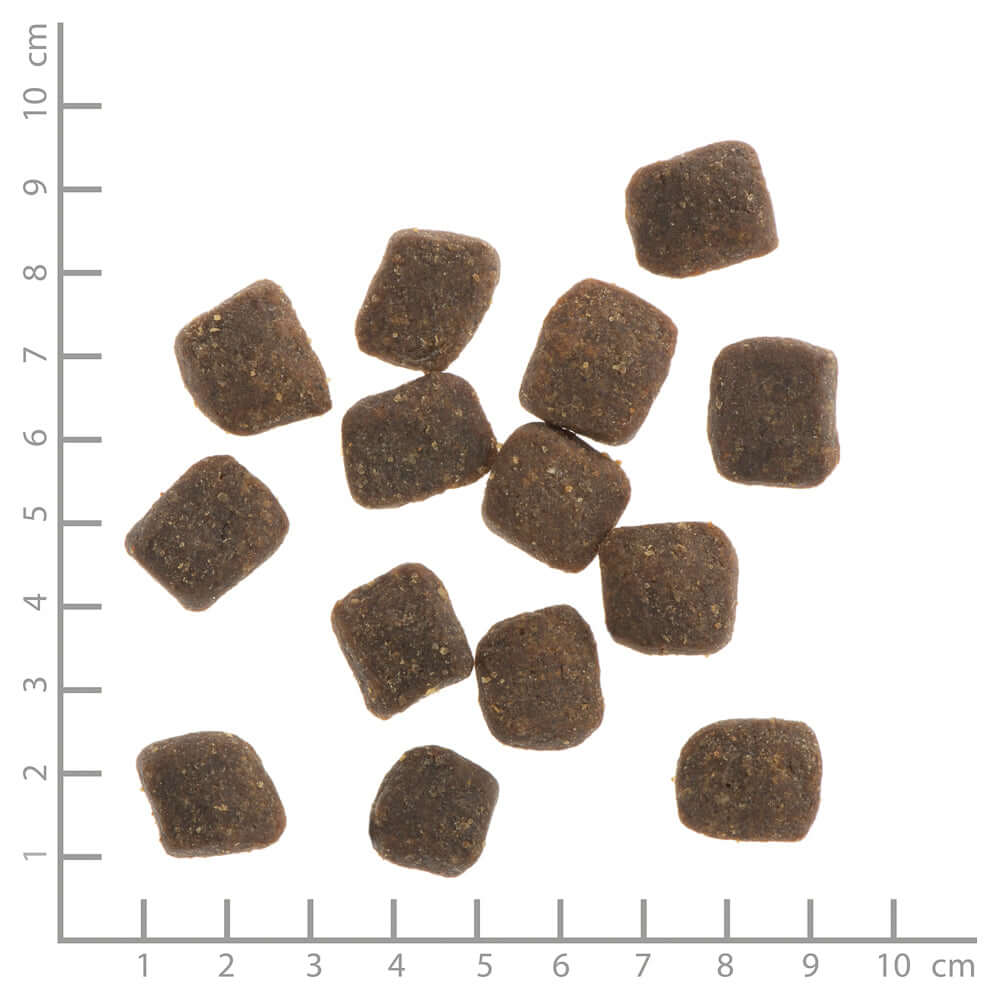 Wildes Land Hund Soft Adult Lamm mit Reis und Wildkräutern Nahaufnahme