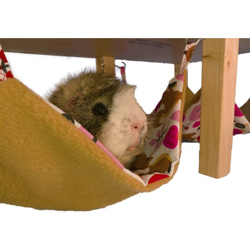 Hängemattengestell Meerschweinchen mit Meerschweinchen