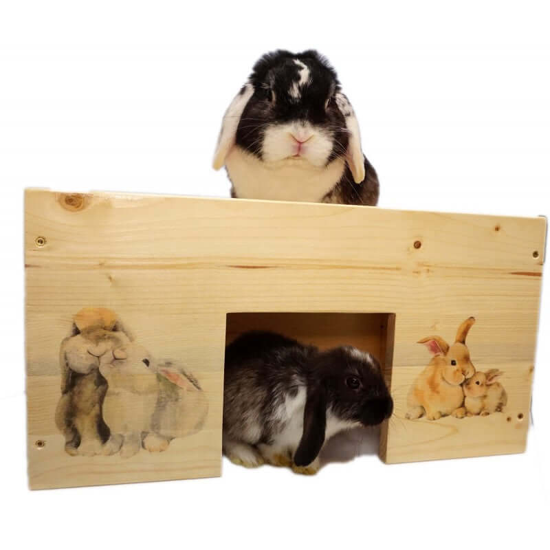 Kaninchenhaus Hasen XXL mit 3 Eingängen - - Nagerstore